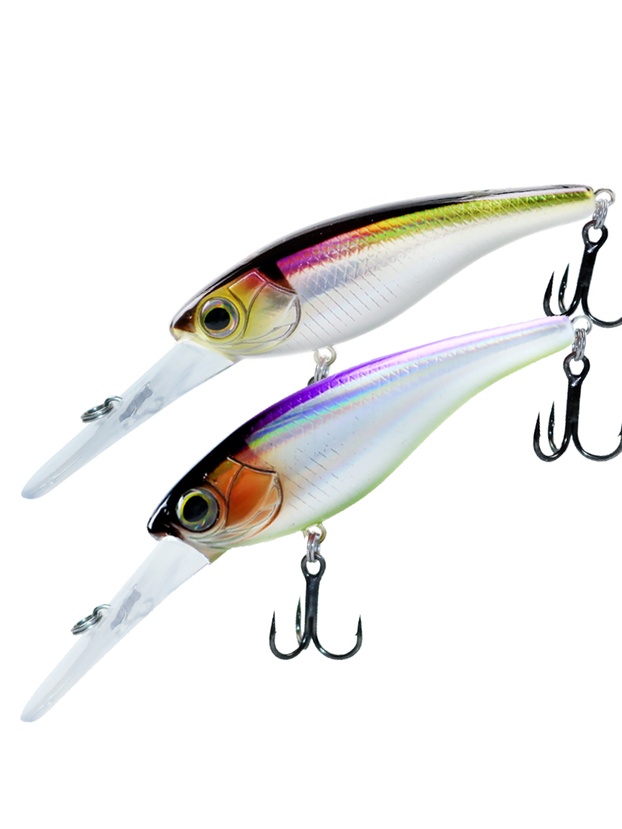 Esca da pesca sospesa per pesc - Fishing Lure Jerkbait recensione e prezzo